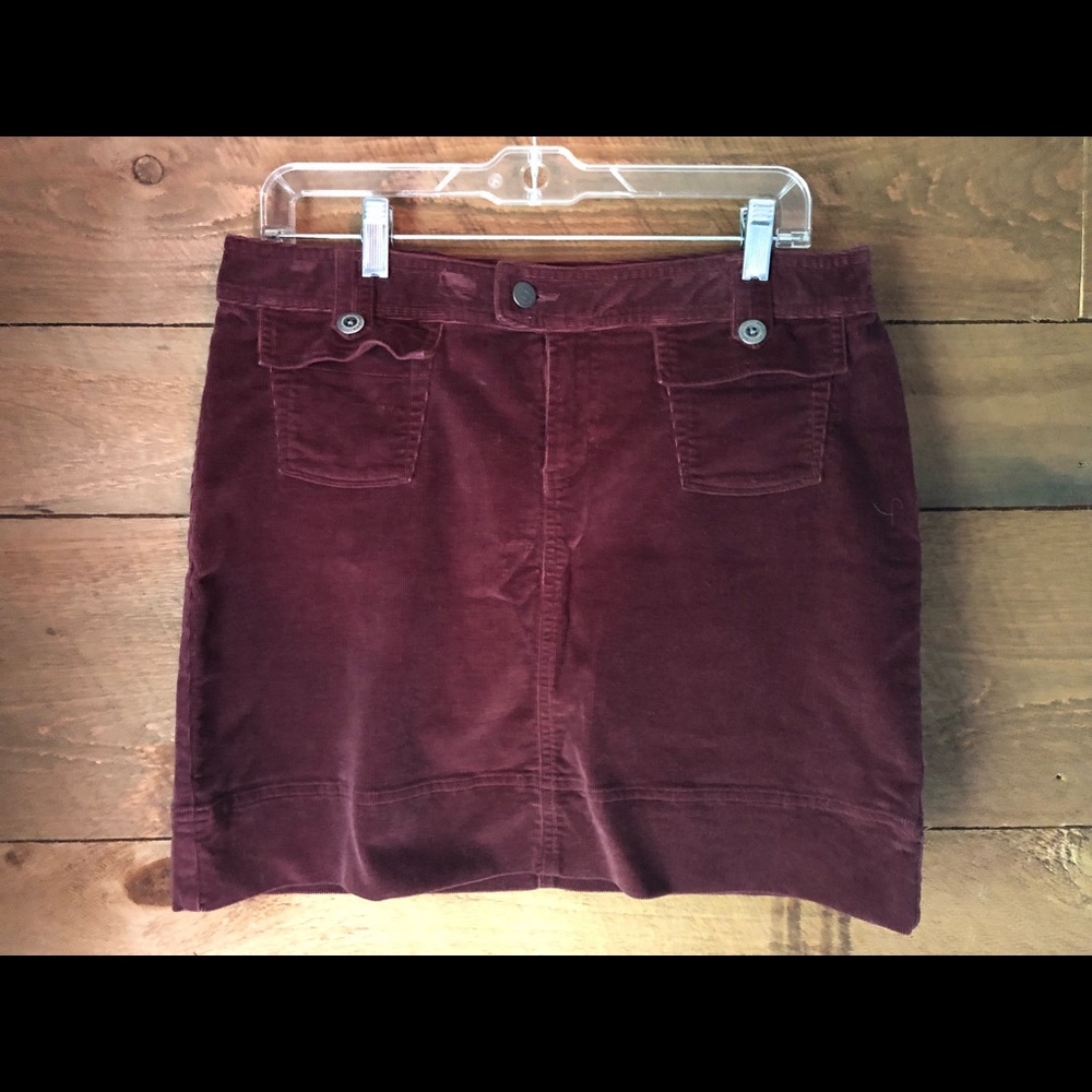 Patagonia skirt (new!)
